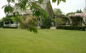 Studio Cottage